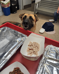 ERS Giving Back Highlight Photo With Happy Dog