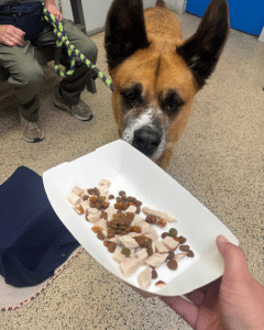 ERS Giving Back Highlight Photo With Happy Dog