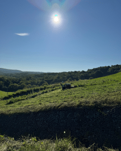 ERS mowing at Warren County Landfill